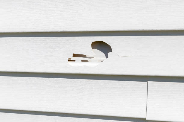 Best Appliance Removal  in Bowman, ND